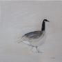 Greylag   -  300 x 300 mm