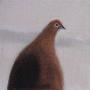 Red grouse  -  300 x 300 mm