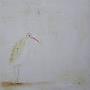 curlew with red bill   -   300 x 300 mm